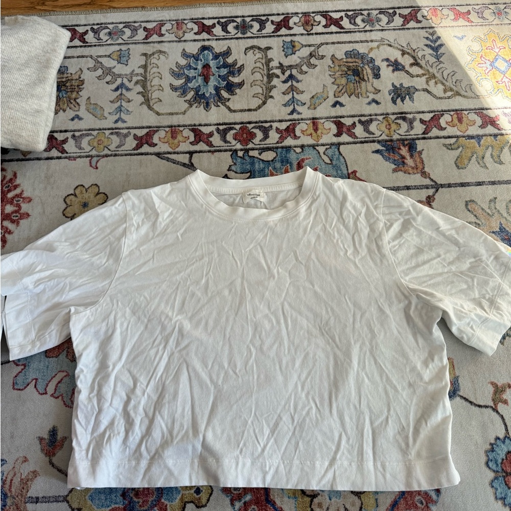 Aritzia Wilfred Tshirt